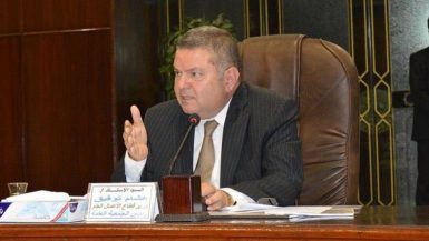 وزير قطاع الأعمال