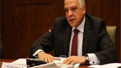 احمد راشد محافظ الجيزة