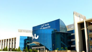 جامعة النيل الأهلية