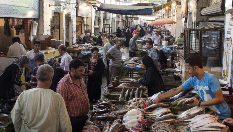أسماك ؛ الأسماك