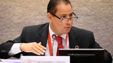 محمد عمران، رئيس الهيئة العامة للرقابة المالية