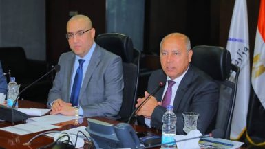 كامل الوزير ؛ عاصم الجزار