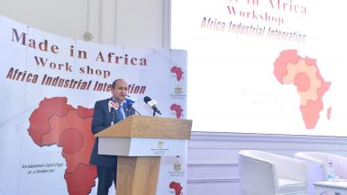عمرو نصار وزير التجارة والصناعة