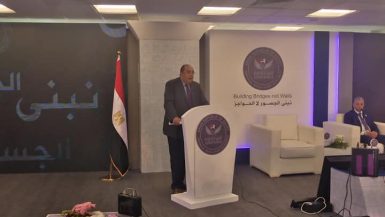 محمود محيى الدين في احتفال الهيئة العامة للرقابة المالية