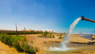 الريف المصرى