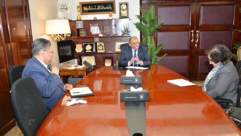 التنمية المحلية