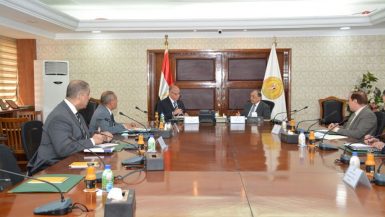 التنمية المحلية