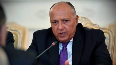 سامح شكرى وزير الخارجية