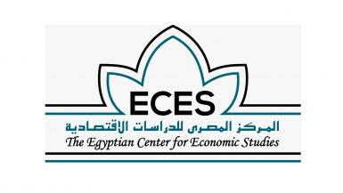 المركز المصرى للدراسات الاقتصادية