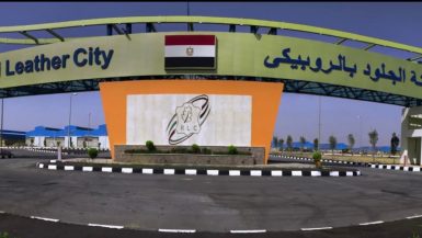 الروبيكى