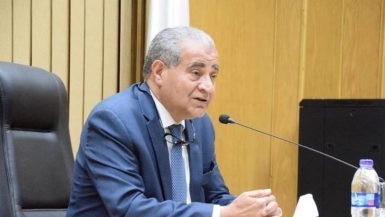 على المصيلحى وزير التموين والتجارة الداخلية