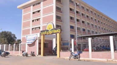 جامعة الوادى الجديد