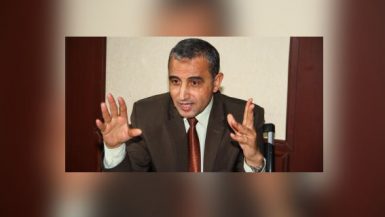 جمال هنداوى ؛ شركة سيناء للمنجنيز