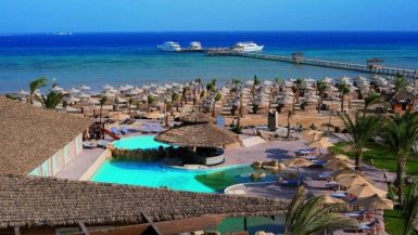 بيك الباتروس