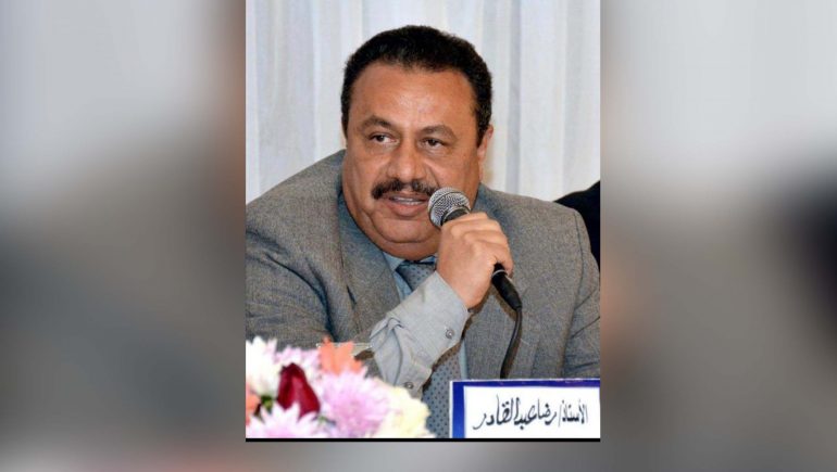 رضا عبد القادر رئيس مصلحة الضرائب المصرية