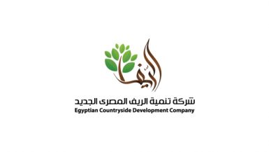 تنمية الريف المصرى