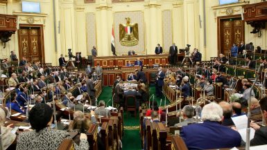 مجلس النواب الجديد