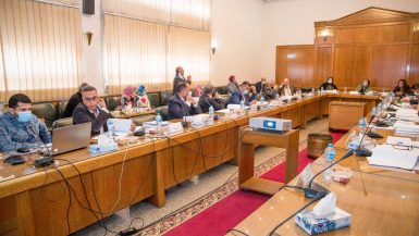 "اللجنة العليا لتراخيص الشواطئ" تبحث دراسات الأعمال المنفذة على السواحل المصرية