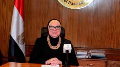 نيفين جامع وزيرة التجارة والصناعة