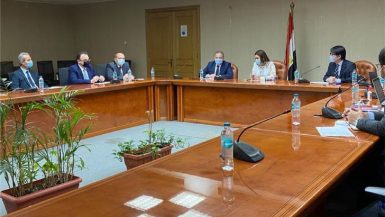 الحكومة تبحث الاستفادة من الخبرات اليابانية فى "التأمين الصحى الشامل"