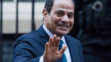 الرئيس السيسى يتفقد موسم الحصاد الزراعى بمشروع "مستقبل مصر"