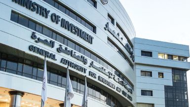 "الاستثمار" تفحص 5 طلبات لإقامة مشروعات بنظام المناطق الحرة