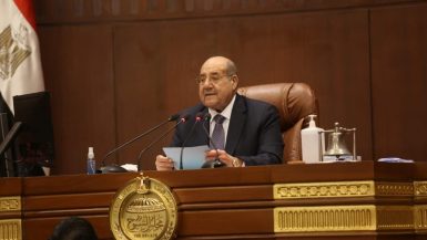 عبد الوهاب عبد الرازق رئيس مجلس الشيوخ