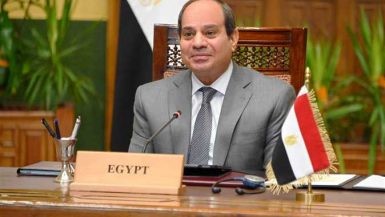 الرئيس عبد الفتاح السيسى