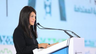 منتدى مصر للتعاون الدولى