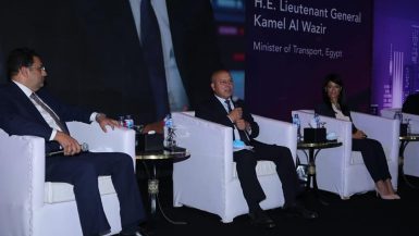 كامل الوزير