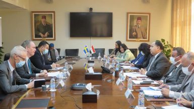 وزير المالية: تهيئة مناخ جاذب للاستثمارات المحلية والأجنبية فى مصر