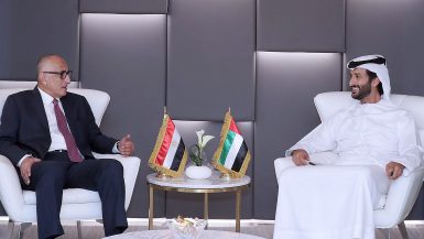 محافظ المركزى يبحث مع وزير الاقتصاد الإماراتى فرص التعاون فى القطاع المالى