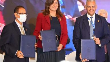 تعرف على تفاصيل إصدار أول وثيقة تأمين للمصريين العاملين والمقيمين بالخارج