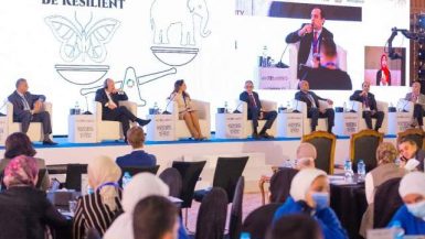 الملتقى الحادى عشر المسئولية المجتمعية: الدولة والقطاع الخاص شركاء فى تحقيق الاستدامة