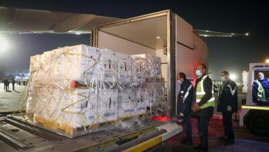 مصر تستقبل مليون و843 ألف جرعة من لقاح "فايزر" المضاد لكورونا